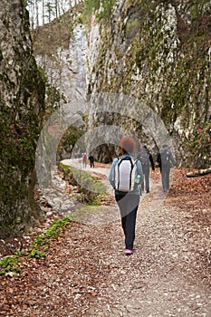 Hiker lady with backpack alone on the trail