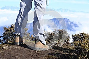 Hiker legs hiking