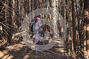 Hiker looks up in a wood