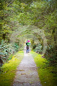 Hiker on lush jungle trail with dirt pathway on Milford Track in