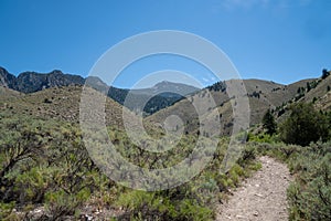 Hiker makes her way up to Goldbug Hot Springs in Idaho, in the Salmon Challis National Forest