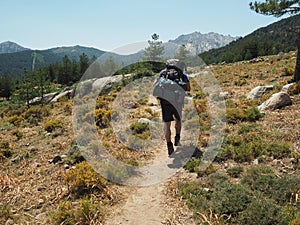 Hiker man with heavy backpack walking on GR 20 famous trail in c