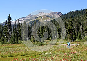 Hiker in Meadows of Callaghan Valley