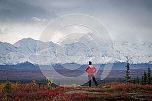 Hiker in the mountains