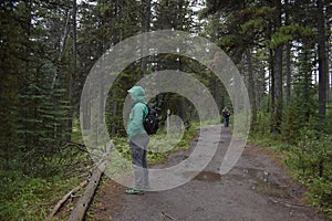 Hiker in a national park in the woods on a hiking trail.