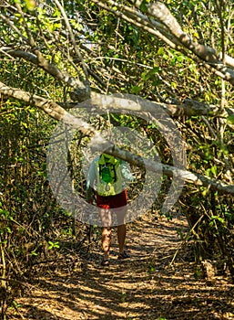 Hiker Navigates Thick Forest Trail