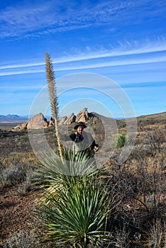 Hiker near a large blooming yucca against a blue sky in the background mountains, New Mexico USA
