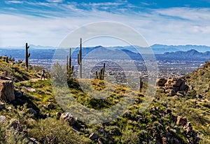 Hiker on Pinnacle Peak Desert Trail In Scottsdale