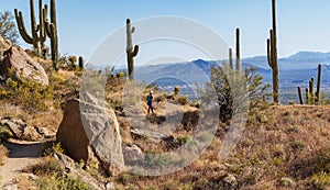 Hiker  On Pinnacle Peak Trail In North Scottsdale With Cactus And Mountains