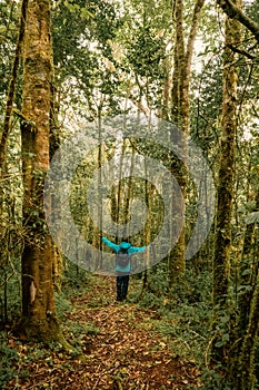 A hiker in rain clothes in the Montane Forest ecological zone of Mount Rungwe in Mbeya Region, Tanzania