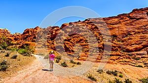 Hiker on the Red Sandstone Cliffs of the Calico Trail in Red Rock Canyon National Conservation Area, NV. USA