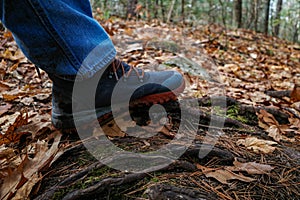 Hiker`s boot steps on tree roots on hiking trail