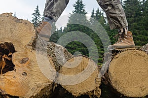 Hiker`s boots on logs