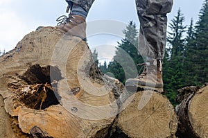 Hiker`s boots on logs