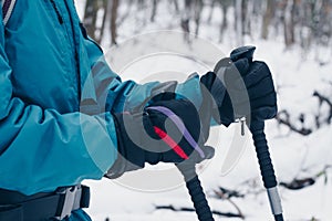 Hiker`s hands in gloves and with trekking poles in the winter forest