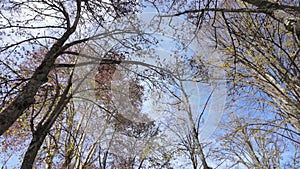 Hiker's point of view along the Parque Termal de Pedras Salgadas