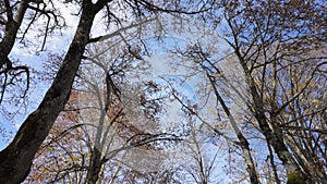 Hiker\'s point of view along the Parque Termal de Pedras Salgadas