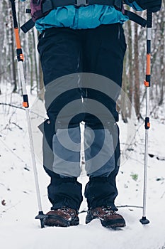 Hiker`s underneath with trekking poles in the winter forest