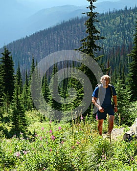 Hiker in the Salmo-Priest Wild photo