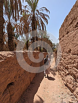 A hiker in a scenic agriculture landscape in the beautiful Draa valley, palm groves surrounding the hiking path