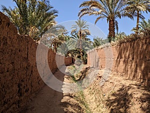 A hiker in a scenic agriculture landscape in the beautiful Draa valley, palm groves surrounding the hiking path