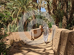 A hiker in a scenic agriculture landscape in the beautiful Draa valley, palm groves surrounding the hiking path