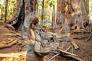 Hiker in Sequoia national park in California, USA