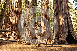 Hiker in Sequoia national park in California, USA