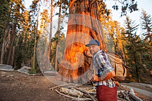 Hiker in Sequoia national park in California, USA