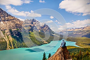 Hiker sitting on the pinnacle of Bow Summit with stunning view of Peyto Lake in the Canadian Rockies