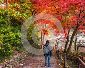 Hiker on stairs down looking at autumn foliage in Mitake Gorge (Ome region, Tokyo, Japan)