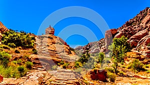 Hiker on top of a rock in Red Rock Canyon National Conservation Area near Las Vegas, Nevada, United States