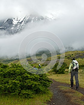 Hiker in TOrres Del Paine