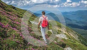 Hiker traveler walks on top of a mountain among flowers