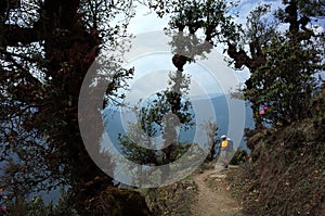 Hiker trekking in mountains in scary forest on trail between Jiri and Lukla, Lower part of Everest trek