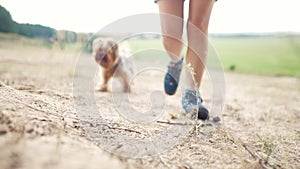 Hiker trip. A tourist girl walks on the sand in a forest park with a backpack on her legs close-up next to a faithful