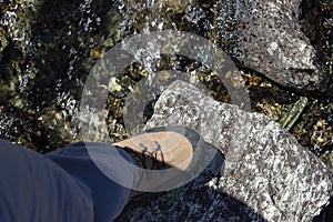 Hiker wade a rocky mountain stream with very used trekking boots.