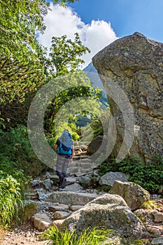 Hiker walking along a rocky path surrounded by lush greenery. High Tatra Mountains.