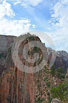 Hiker walking on angels landing trail in zion national park in summer