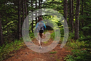 Hiker walking on forest path
