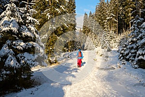 Hiker is walking on road in the winter forest