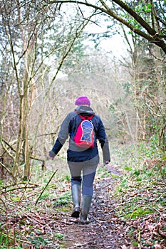 A hiker walks along a forested trail