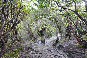 Hiker walks on train