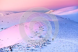 Hiker and warm soft orange and pink and purple sunrise light in winter mountains. Beautiful christmas postcard