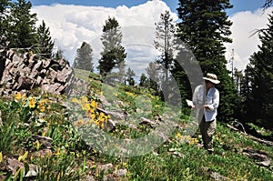 Hiker and wildflowers