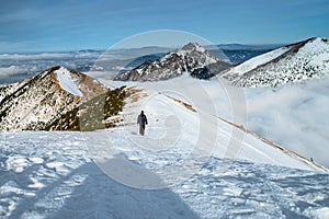 Turista v zimních horách, kvalitní fotografie, Fatra na Slovensku