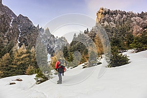 Hiker in winter mountains. Man with backpack trekking in carpathian mountains.
