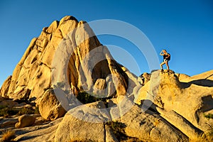 Hiker woman climbing the rocks in a beautiful warm sunset light in the Joshua Tree National Park, California, USA