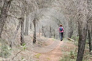 Hiker woman walking calmly through the forest