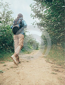 Hiker woman walking on path in summer forest